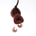 Secret Heart Earrings,,hi-res image number null