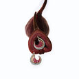 Secret Heart Earrings,,hi-res image number null