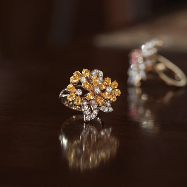 Daylight Ring,,hi-res image number null