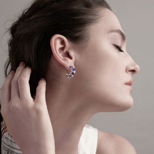 Pantheon Dome Tanzanite Earrings,,hi-res image number null
