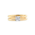 Path of&nbsp;Harmony Ring,,hi-res image number null